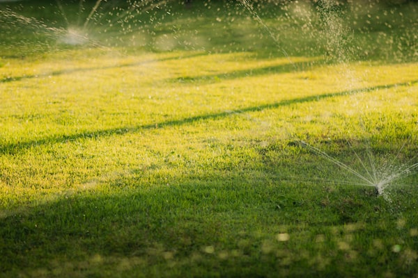 Sprinklers watering a green lawn at sunset